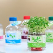 创意DIY迷你种植 活力瓶负离子植物盆栽