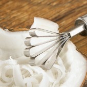 椰子刨厨房家用不锈钢椰肉刨刀刨丝器椰子刮肉刀鱼鳞刨刮鱼鳞工具
