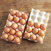 鸡蛋保鲜收纳盒鸡蛋盒厨房橱柜鸡蛋保鲜盒鸡蛋格鸡蛋托冰箱保鲜收纳盒 15格