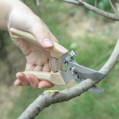 园艺剪不锈钢修枝剪园林多功能家用省力树枝剪子工具果树粗枝剪刀