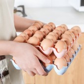 鸡蛋保鲜收纳盒鸡蛋盒厨房橱柜鸡蛋保鲜盒鸡蛋格鸡蛋托冰箱保鲜收纳盒 24格