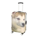 独立印花 动物图案弹力加厚行李箱套拉杆箱旅行防尘罩保护套（M码）365